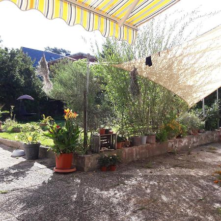 Ferienwohnung Lerchennest Georgensgmund Екстериор снимка