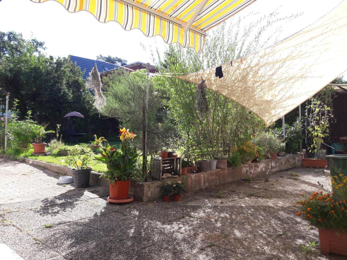 Ferienwohnung Lerchennest Georgensgmund Екстериор снимка